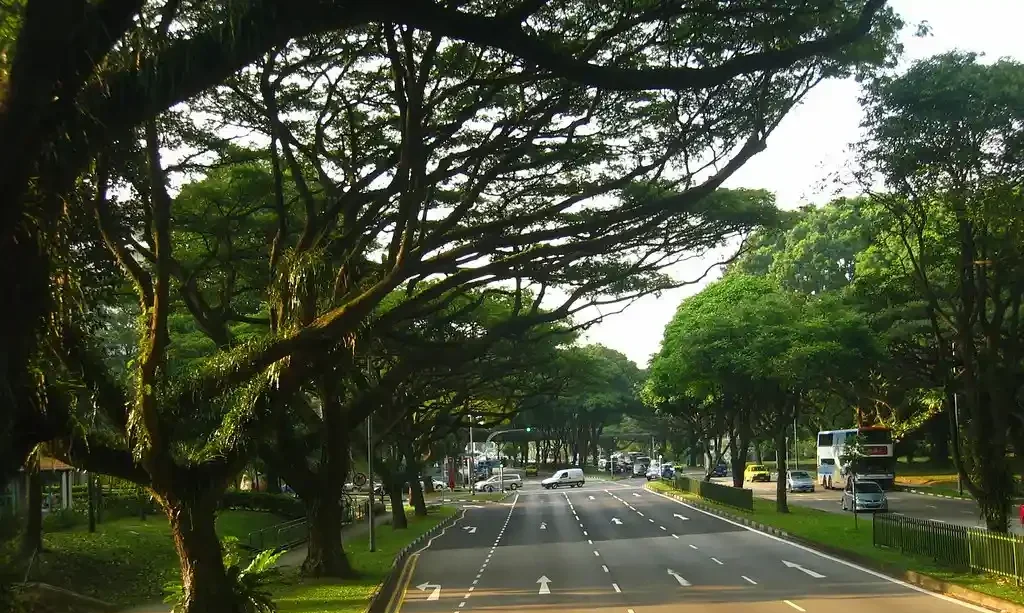 Bangalore Indiranagar